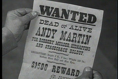 wanted dead or alive.jpg